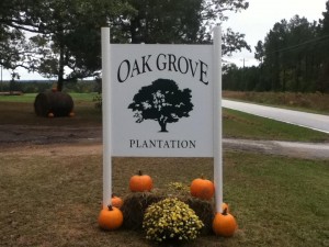 Oak Grove