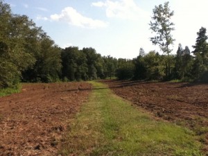 Plowed for Wildlife Planting